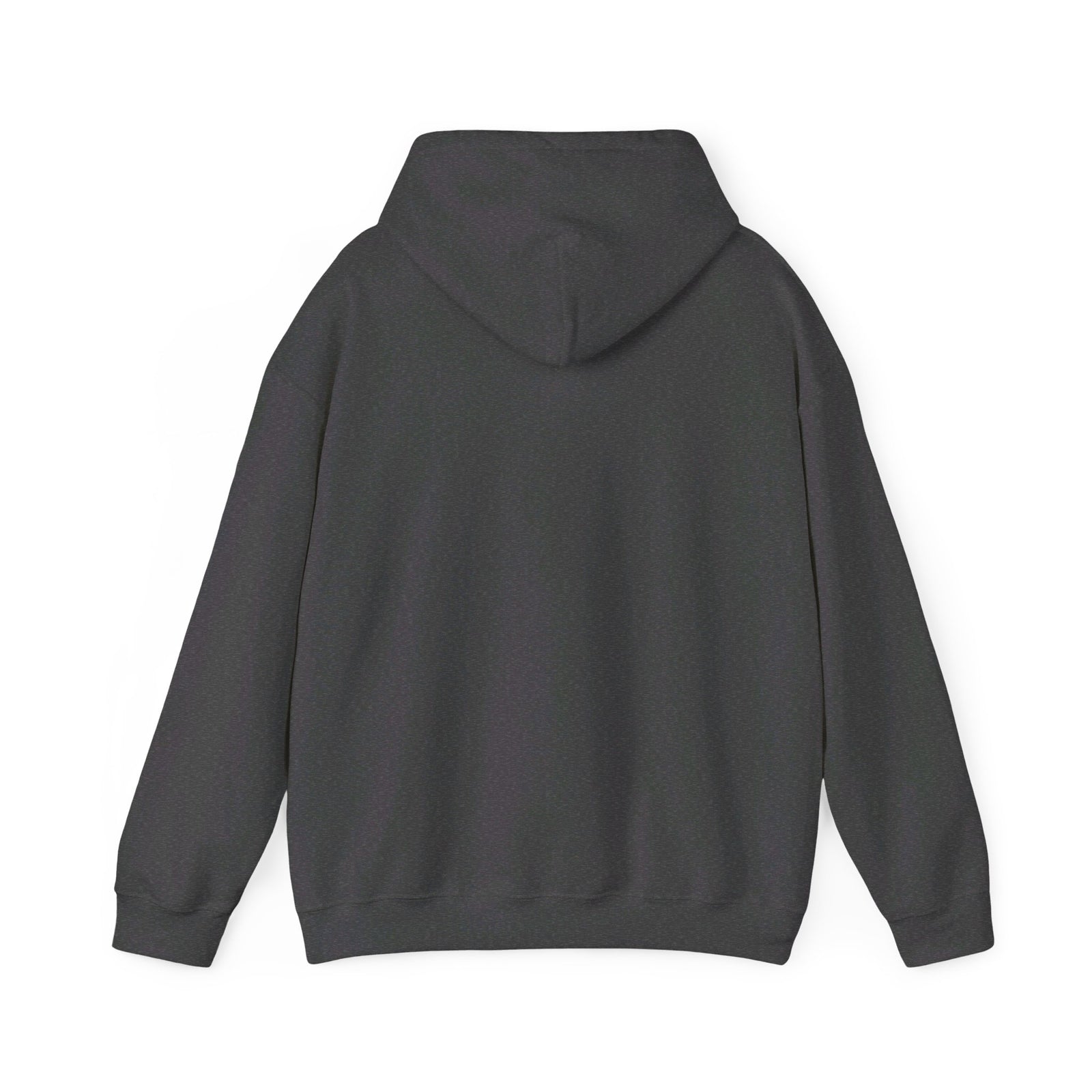 Javier Milei ¡AFUERA! Hoodie