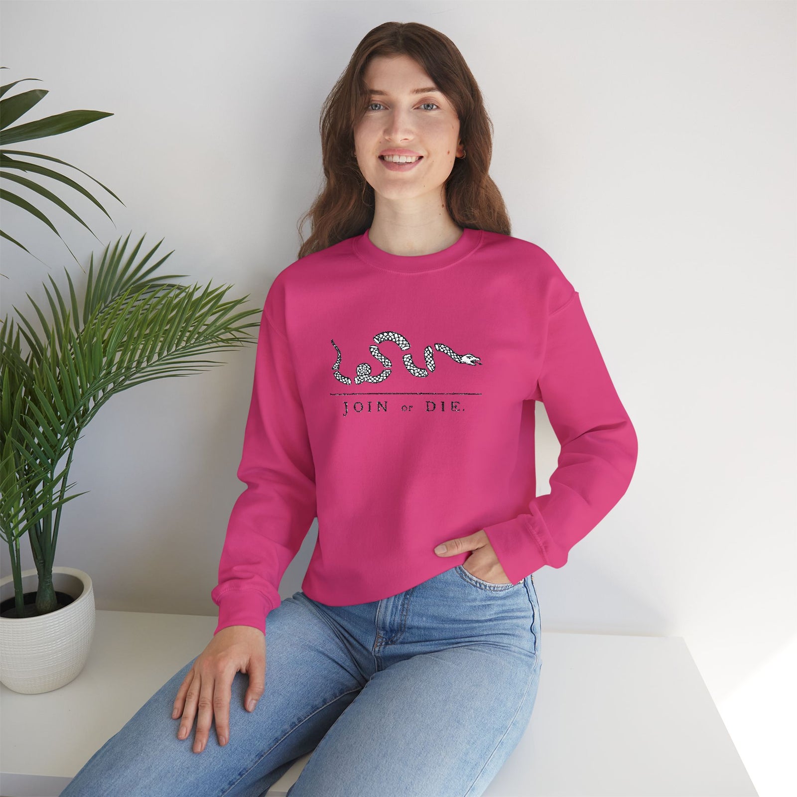 Join or Die Embroidered Sweatshirt