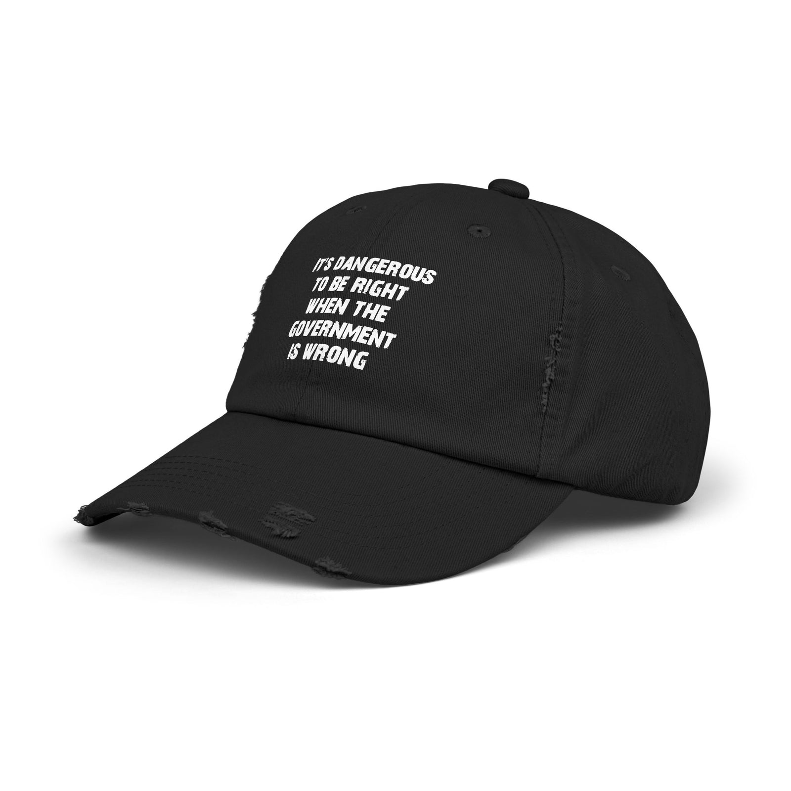 Judge Nap: It's Dangerous to Be Right Hat