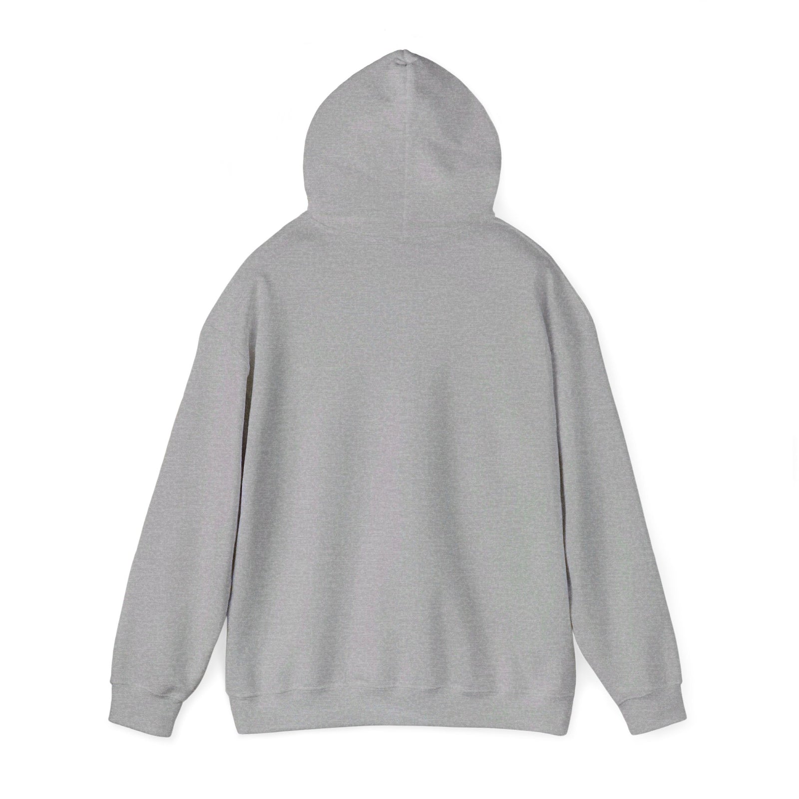 Javier Milei ¡AFUERA! Hoodie