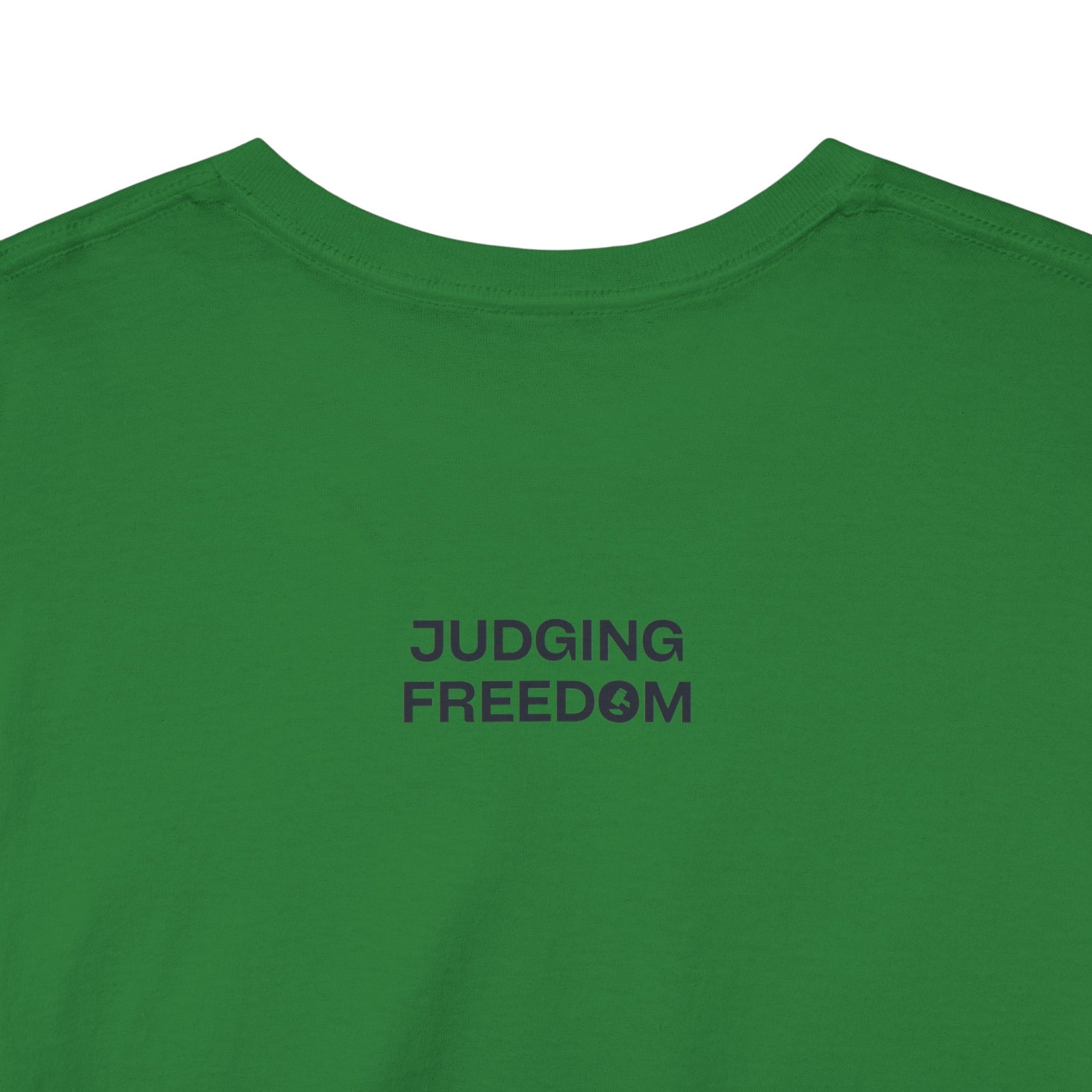 Judge Nap: All Gun Laws Are Infringements AR15 Gadsden T-Shirt