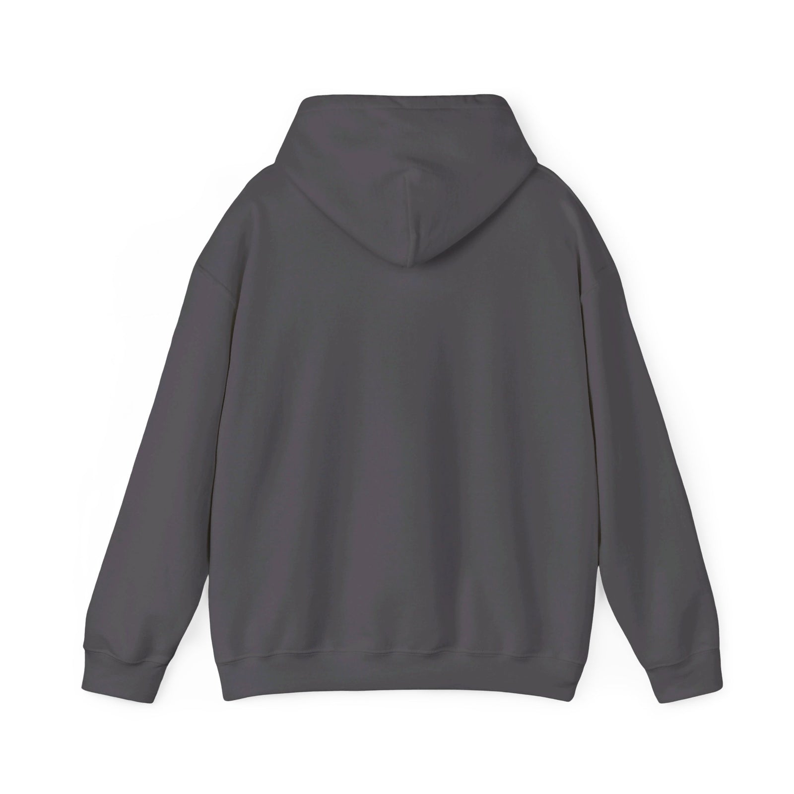 Javier Milei ¡AFUERA! Hoodie