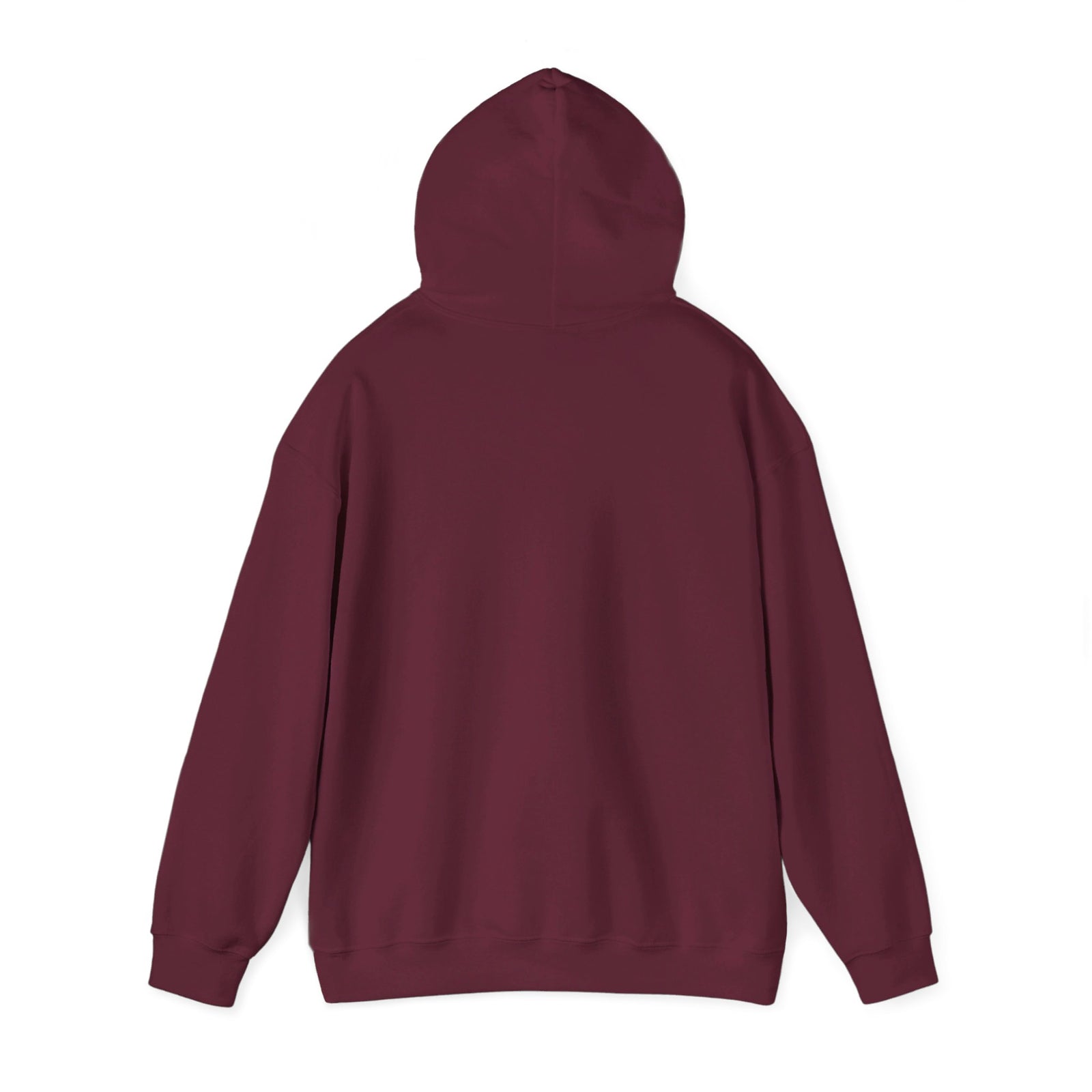 Javier Milei ¡AFUERA! Hoodie
