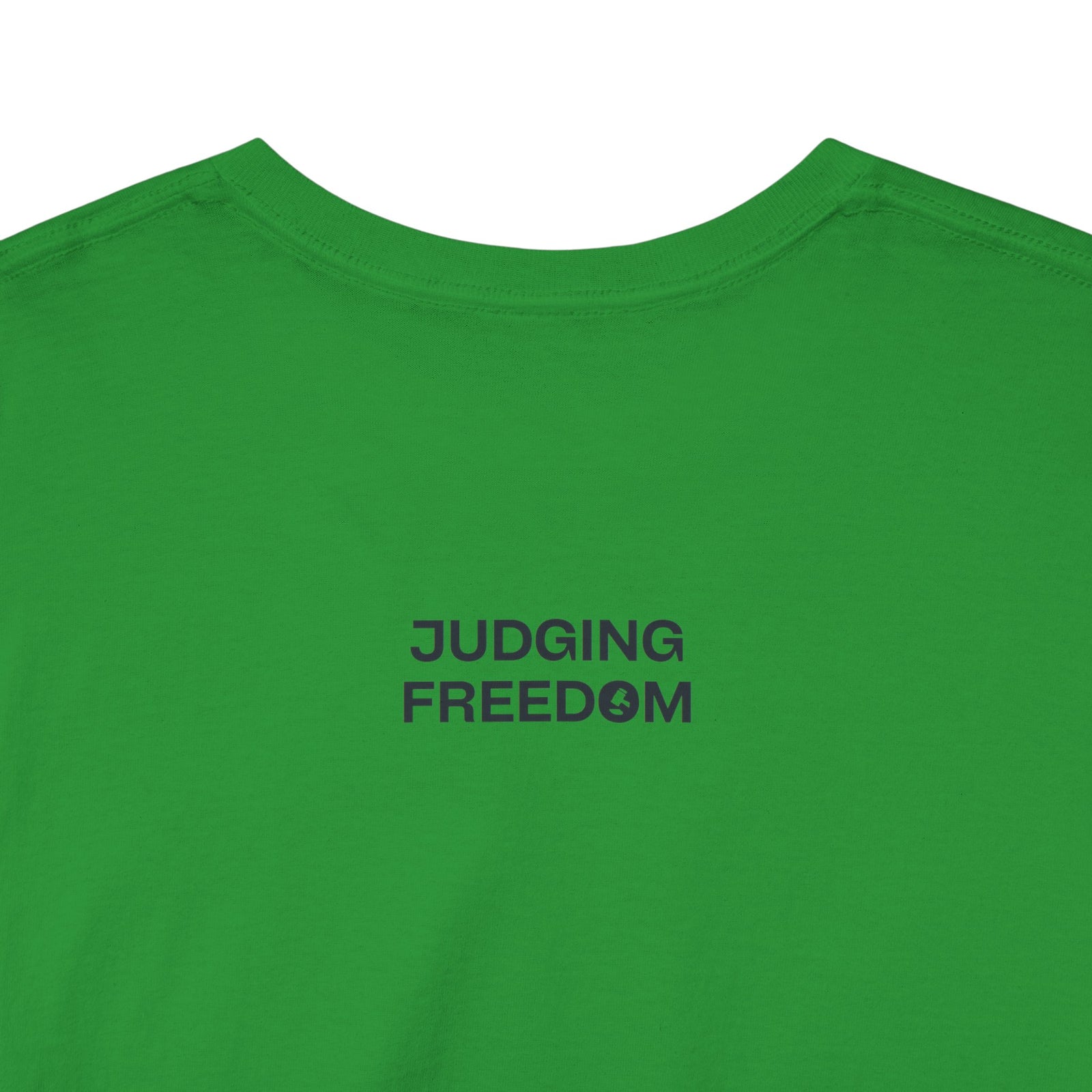 Judge Nap: All Gun Laws Are Infringements AR15 Gadsden T-Shirt