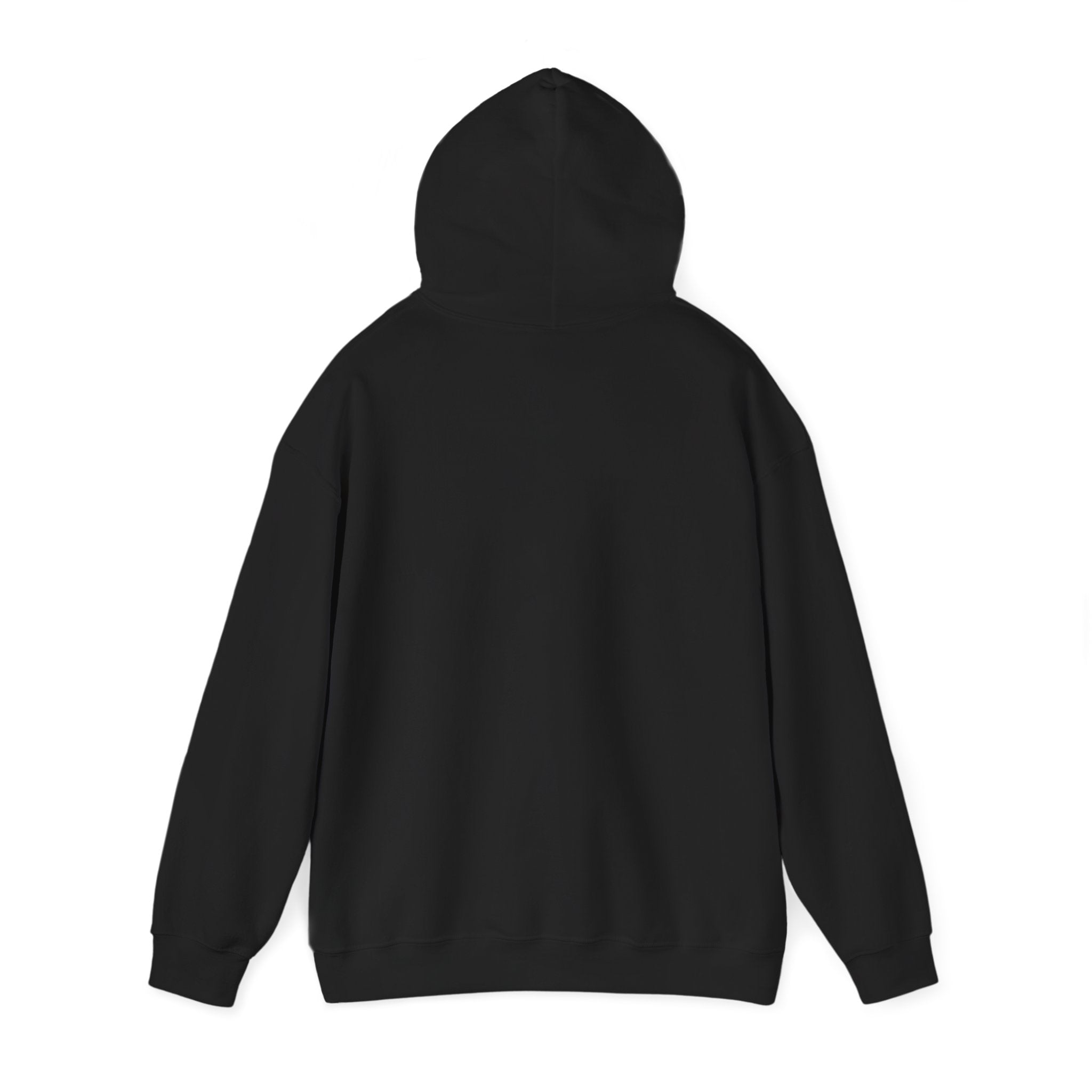 No Lives Matter Hoodie – 4LibertyShop.com