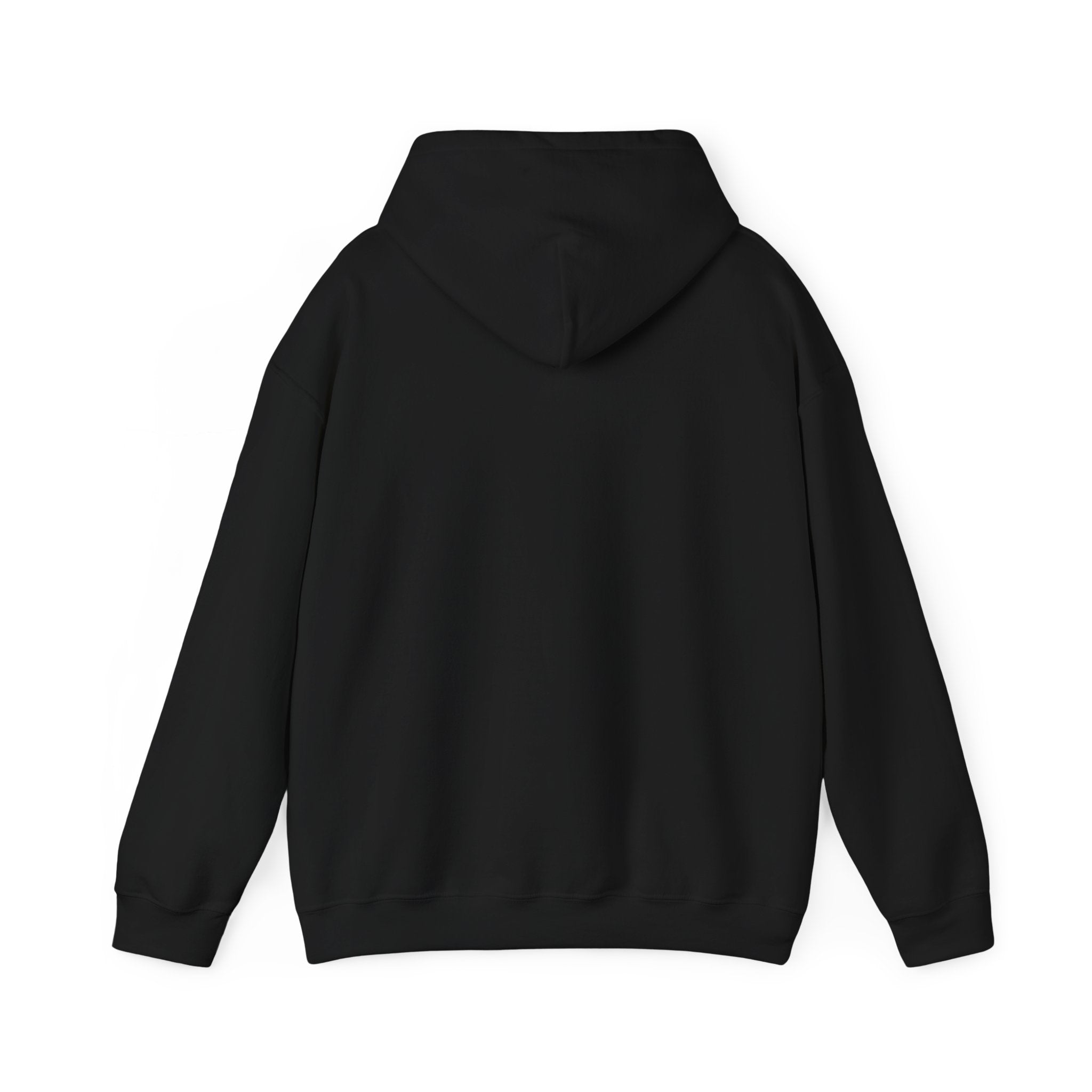 No Lives Matter Hoodie – 4LibertyShop.com