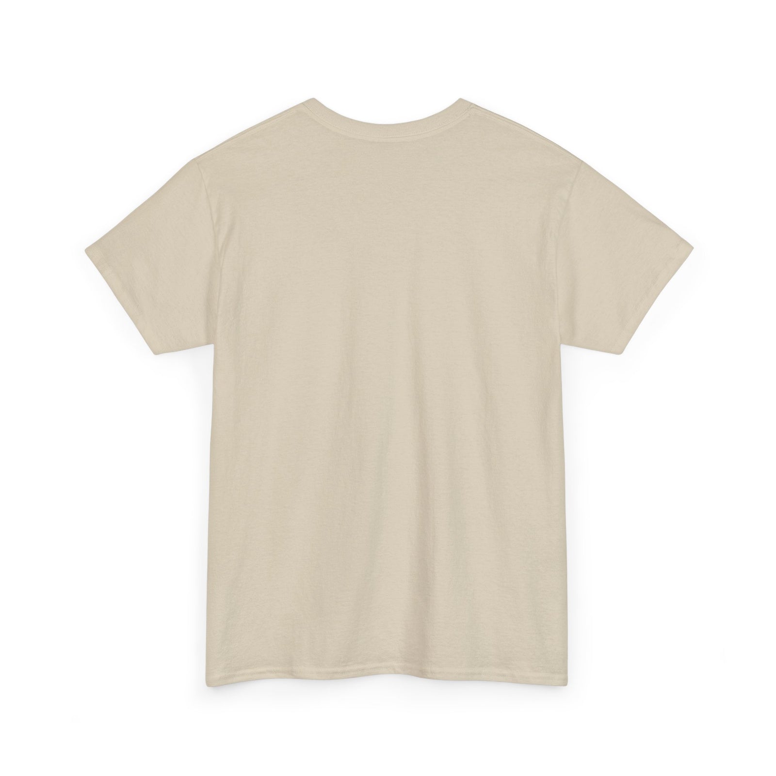 Benjamin Franklin 'Death and Taxes' Quote T-Shirt