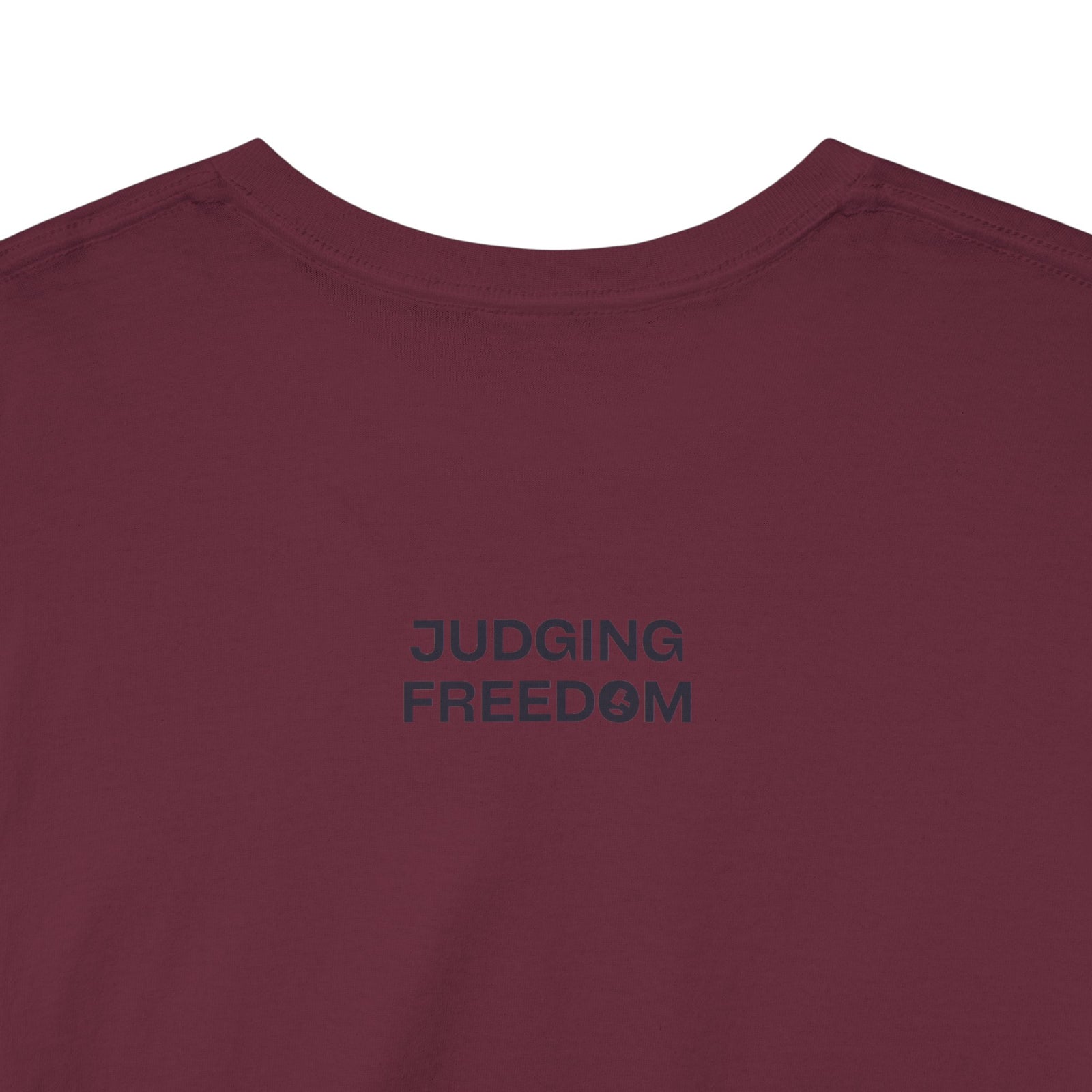 Judge Nap: All Gun Laws Are Infringements AR15 Gadsden T-Shirt