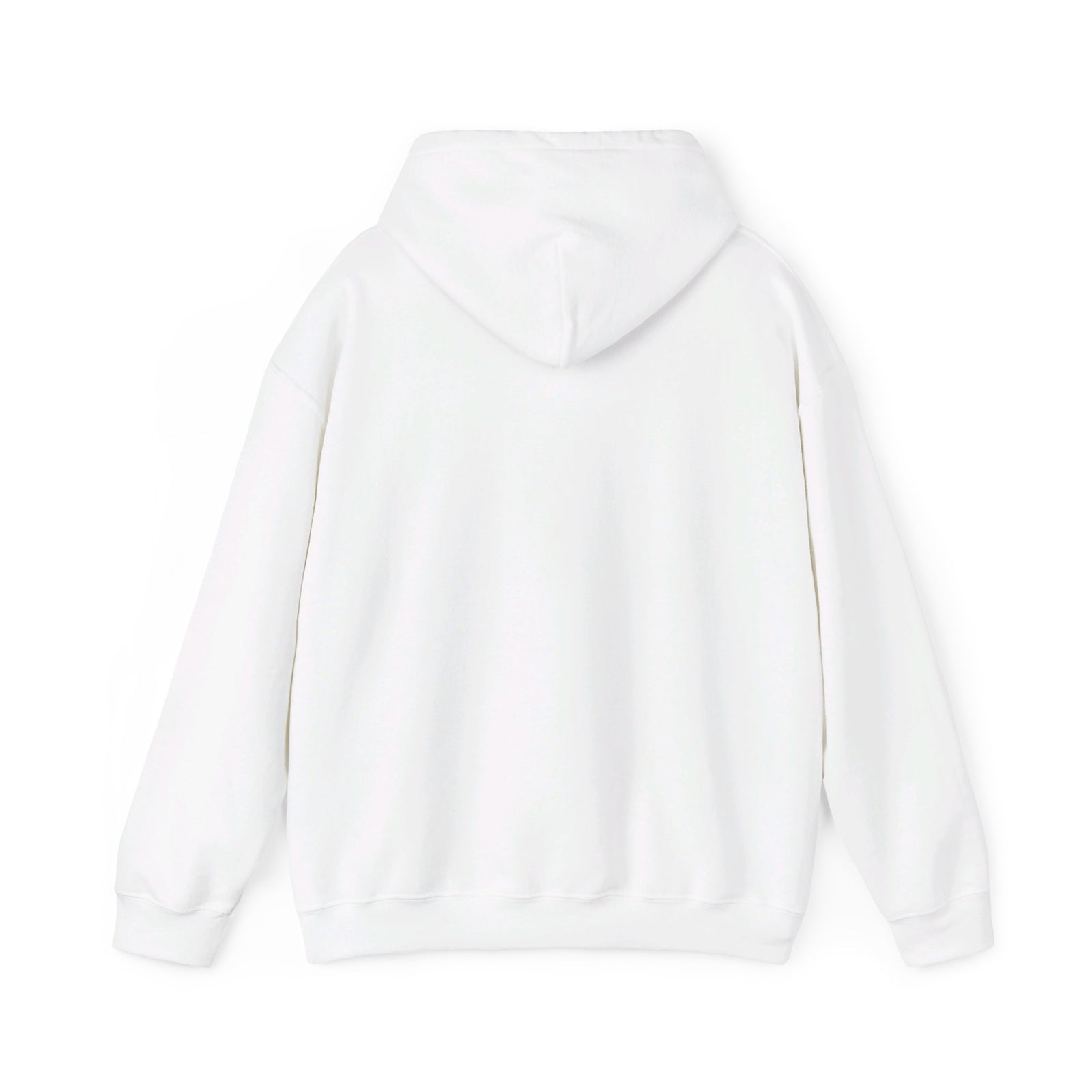 Javier Milei ¡AFUERA! Hoodie