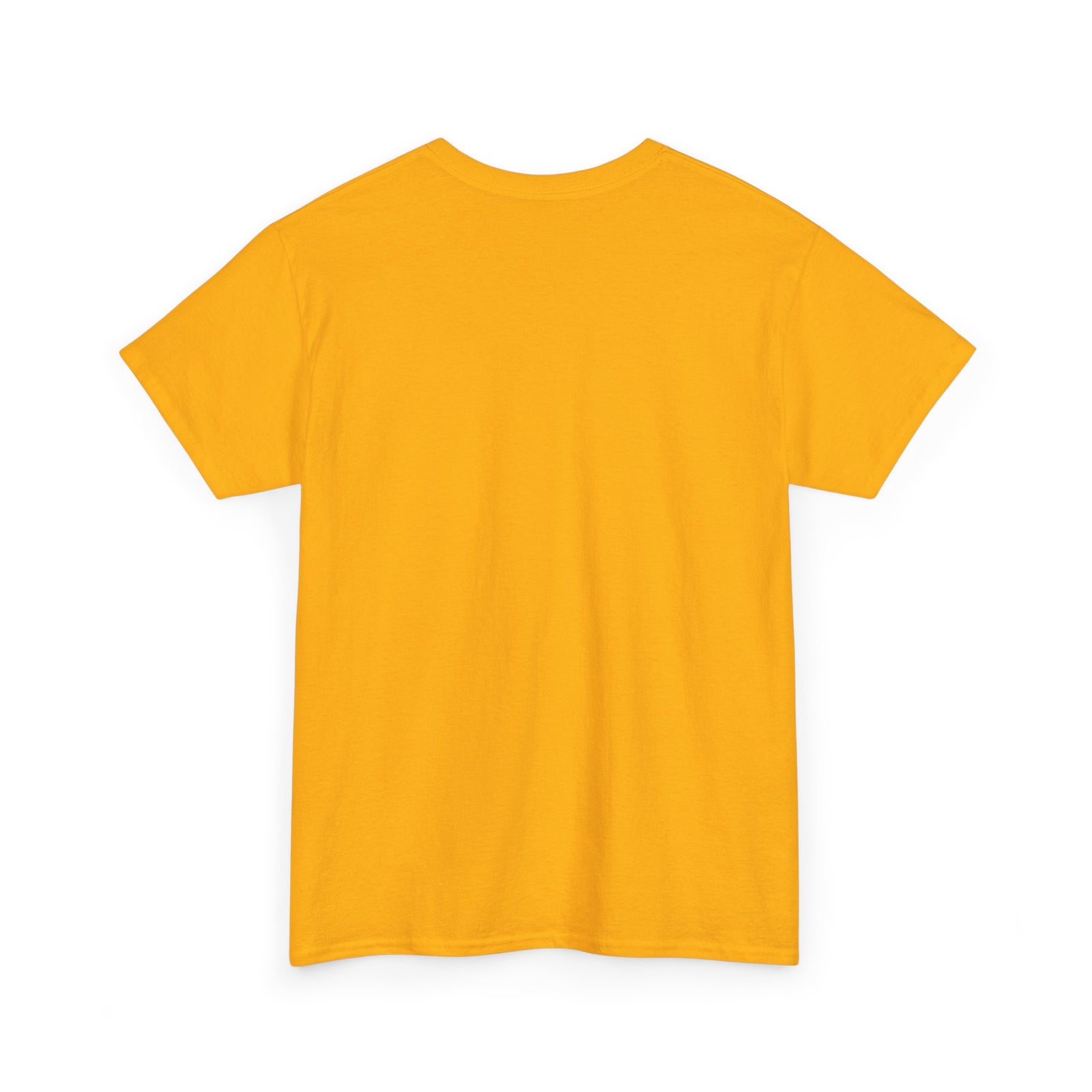 Benjamin Franklin 'Death and Taxes' Quote T-Shirt